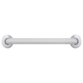 Polish Finished AISI 304 Stainless Steel 600 mm Straight Grab Bar
